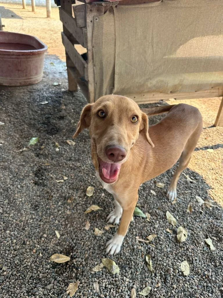 WhatsApp Image 2026-03-16 at 4.14.14 PM (1).jpeg