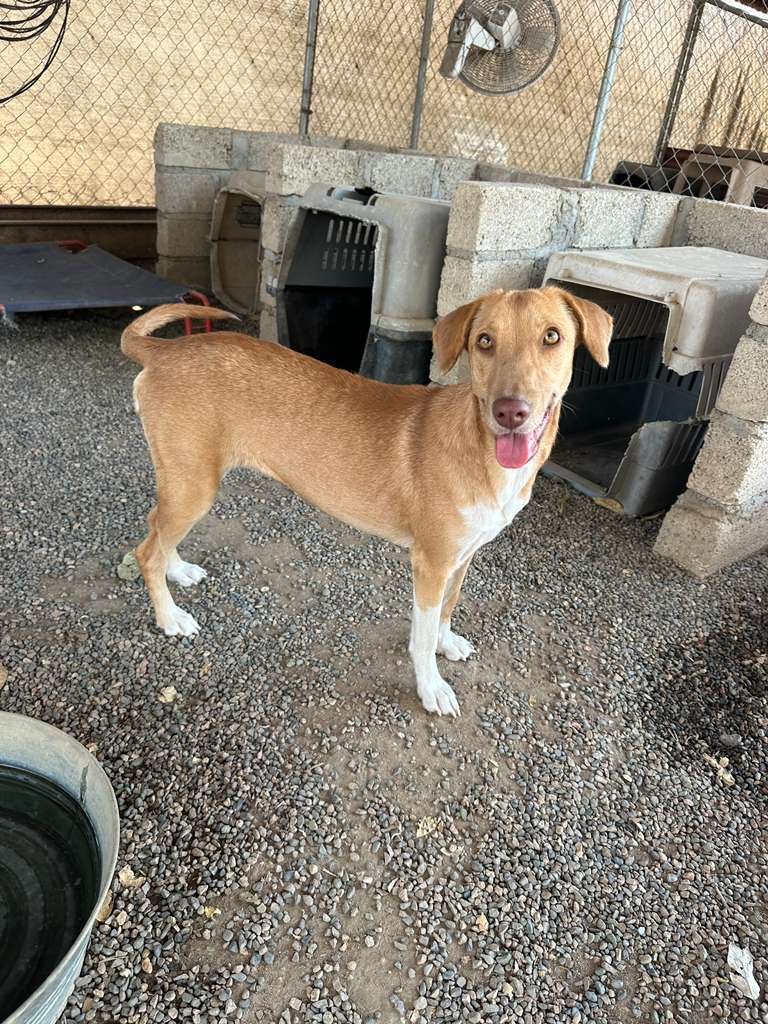 WhatsApp Image 2026-03-16 at 4.14.15 PM (1).jpeg