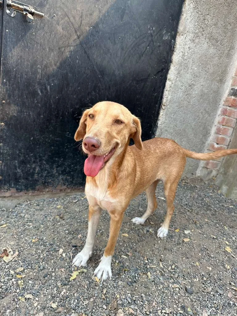 WhatsApp Image 2026-03-16 at 4.14.15 PM (2).jpeg