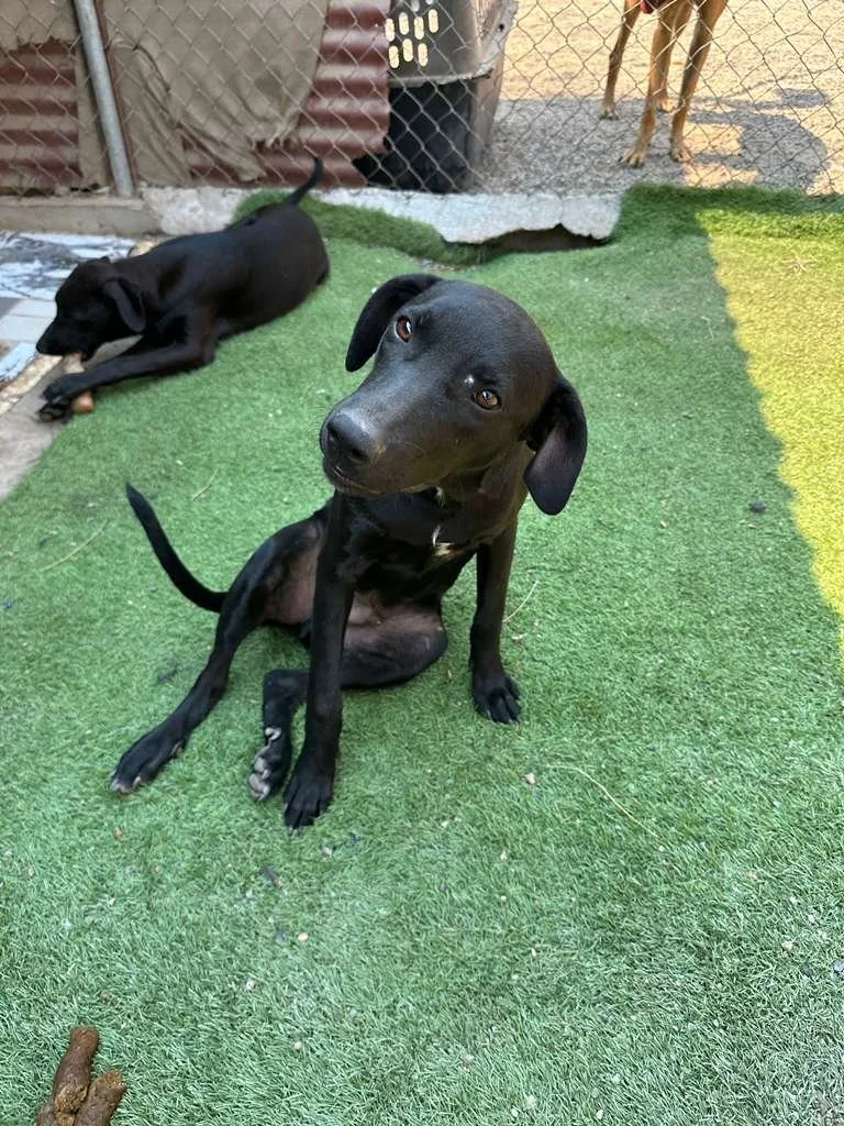 WhatsApp Image 2026-03-16 at 4.15.05 PM (1).jpeg