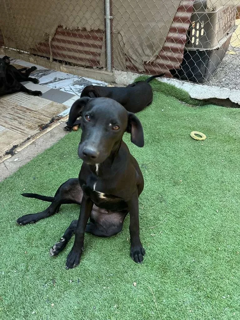 WhatsApp Image 2026-03-16 at 4.15.05 PM.jpeg