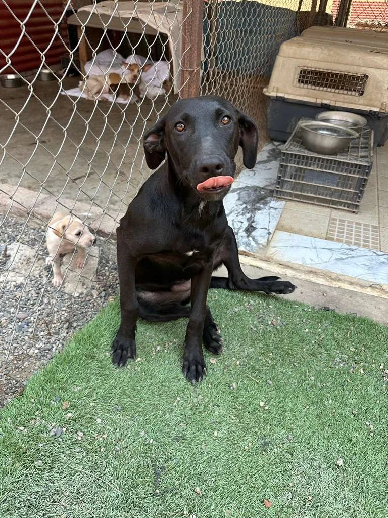 WhatsApp Image 2026-03-16 at 4.15.19 PM (2).jpeg