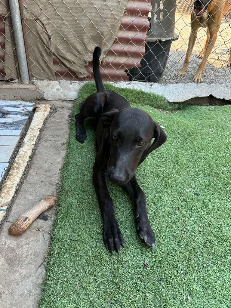 WhatsApp Image 2026-03-16 at 4.15.19 PM (1).jpeg