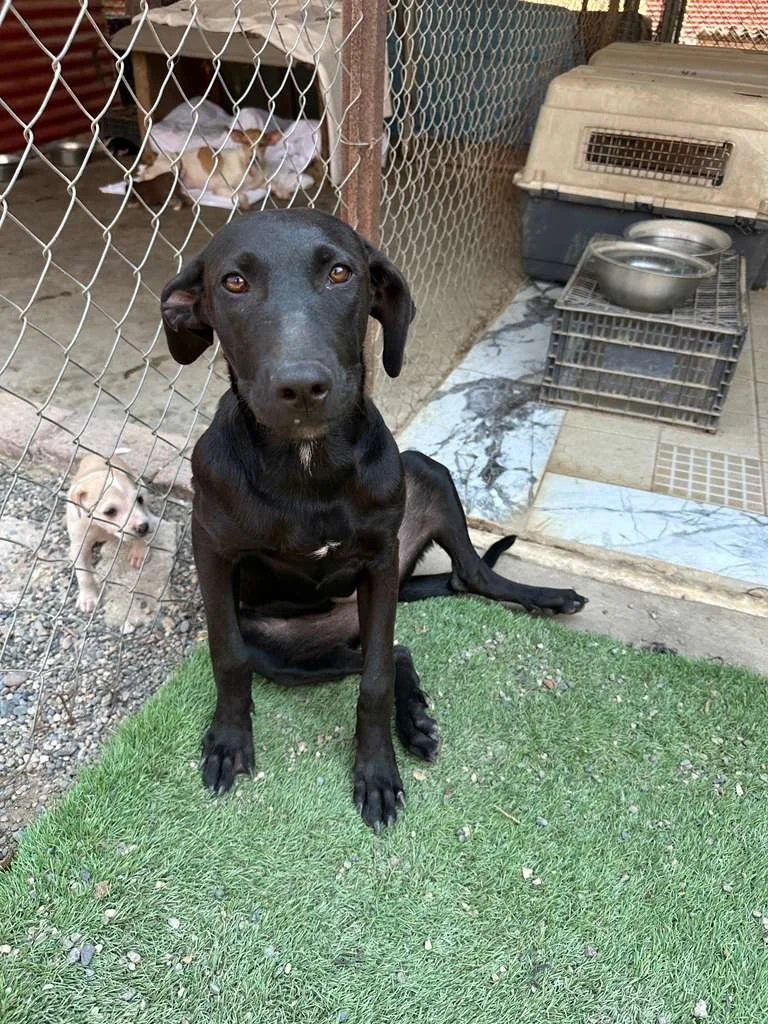 WhatsApp Image 2026-03-16 at 4.15.20 PM (1).jpeg