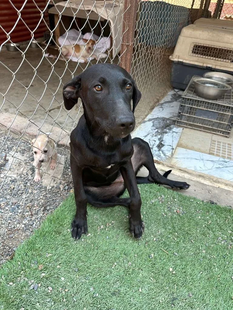 WhatsApp Image 2026-03-16 at 4.15.20 PM (2).jpeg