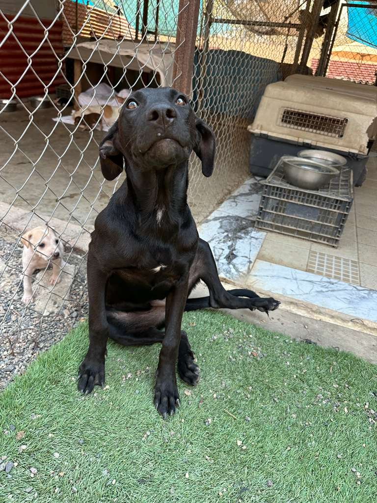 WhatsApp Image 2026-03-16 at 4.15.20 PM.jpeg