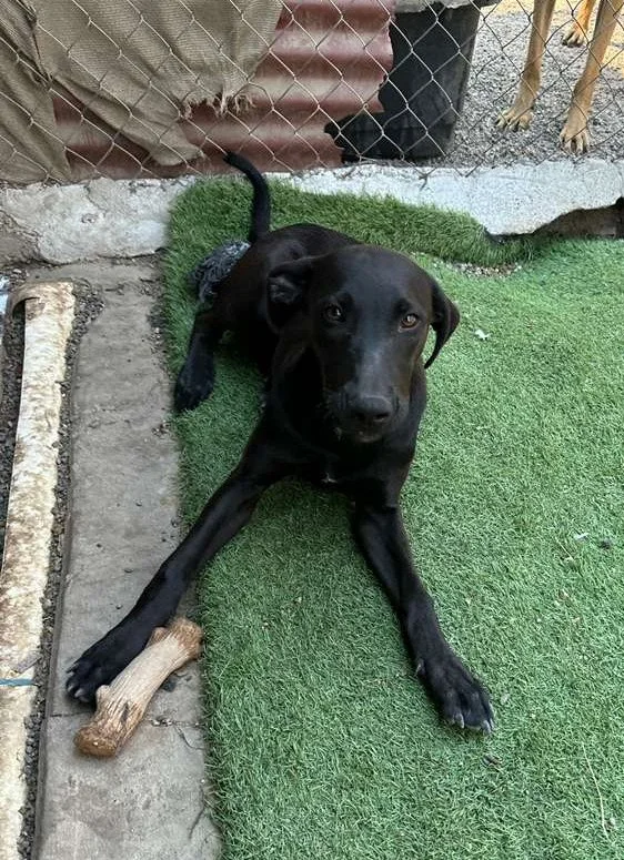 WhatsApp Image 2026-03-16 at 4.15.19 PM.jpeg