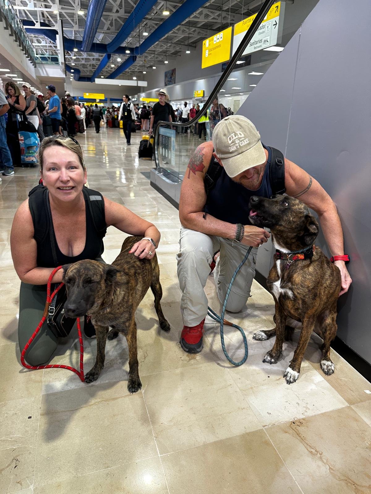 WhatsApp Image 2026-03-11 at 11.54.10 AM.jpeg