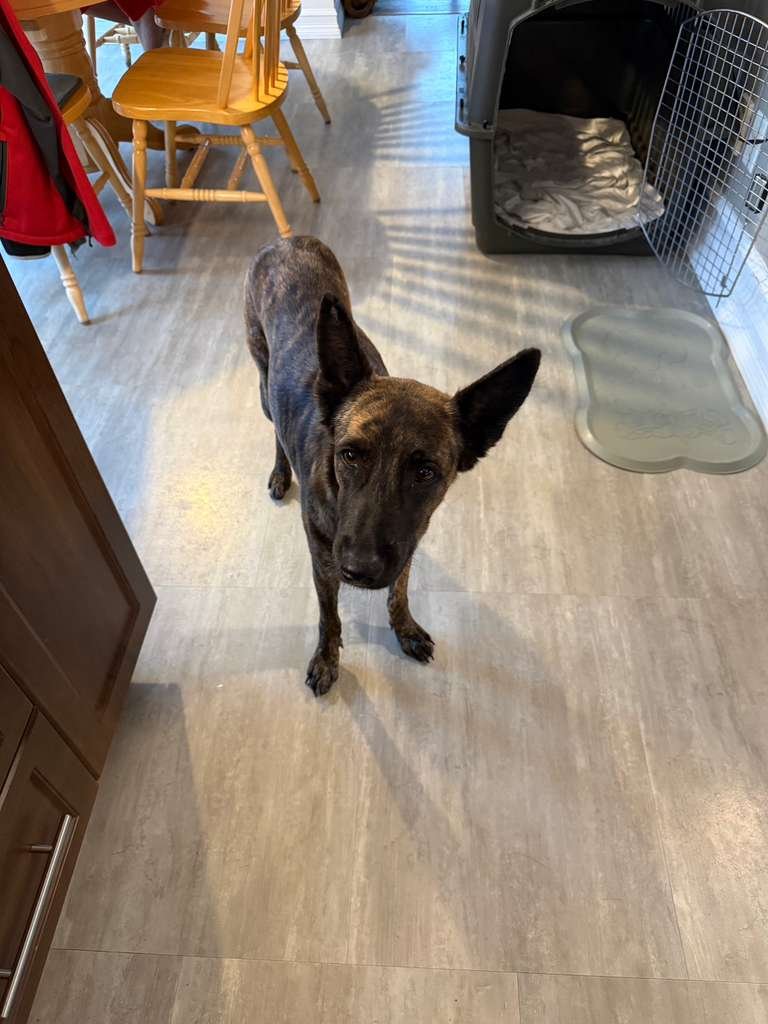 WhatsApp Image 2026-03-12 at 7.27.40 AM.jpeg