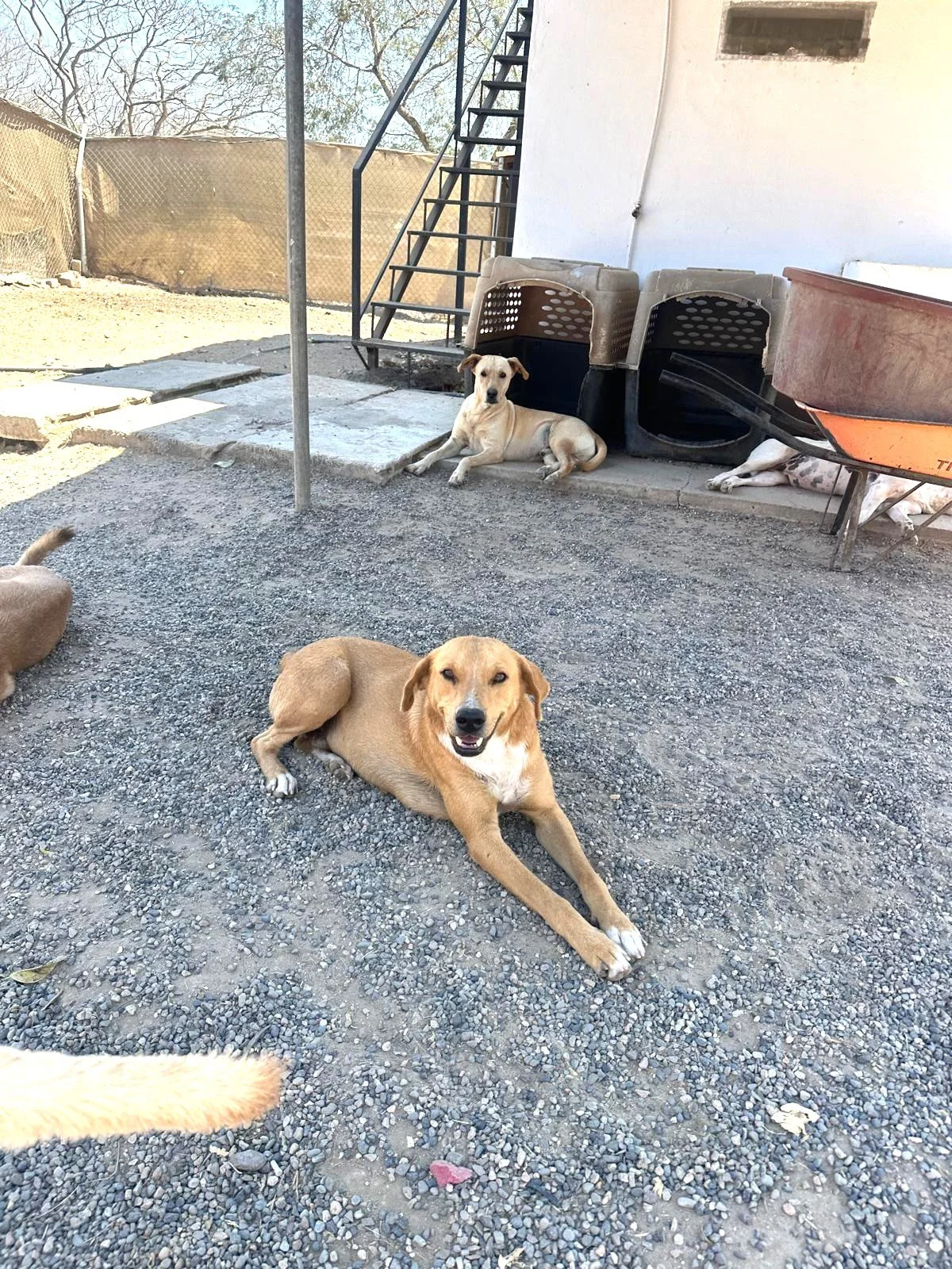 WhatsApp Image 2026-03-18 at 5.26.18 PM.jpeg