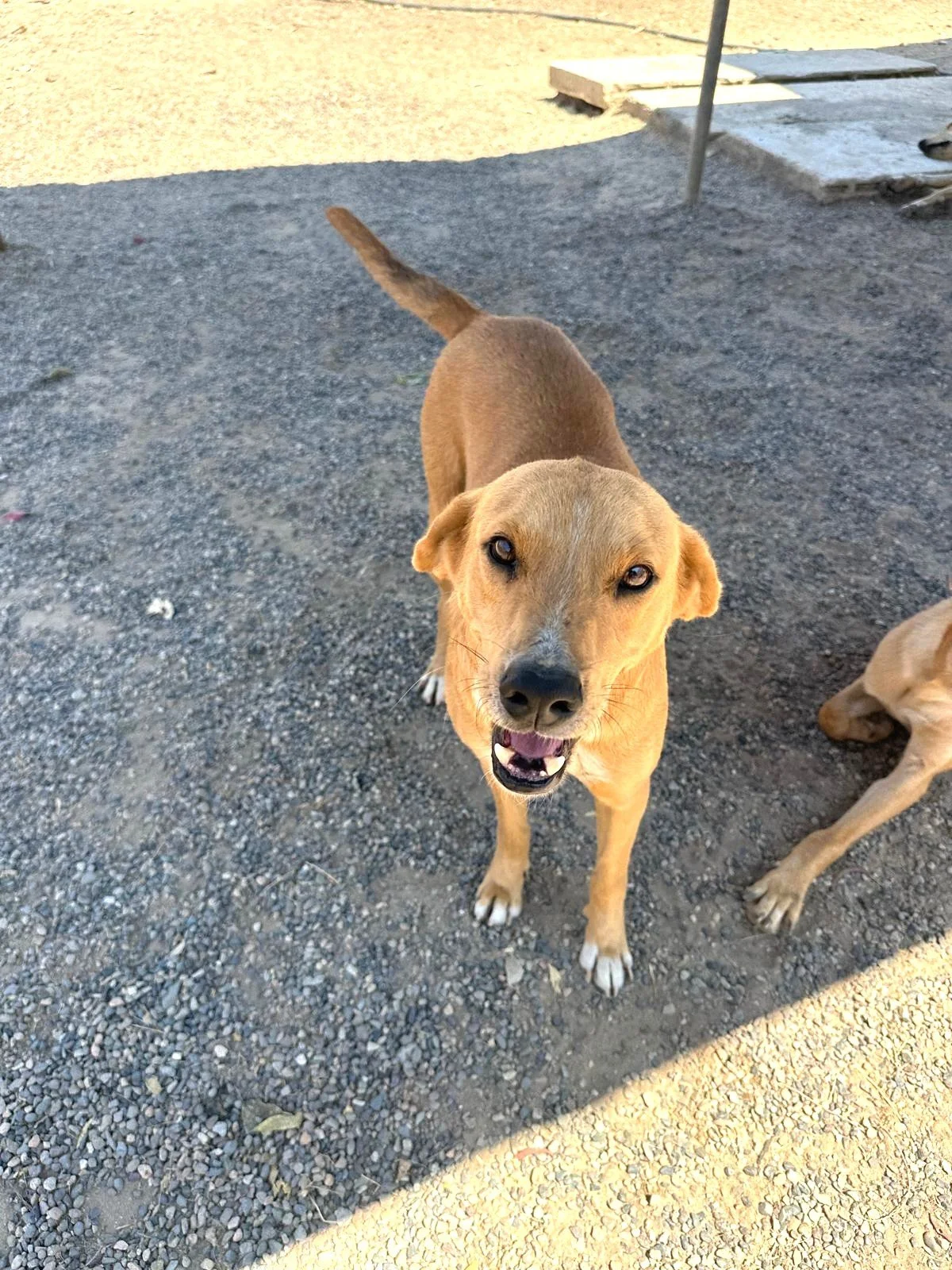 WhatsApp Image 2026-03-18 at 5.26.19 PM.jpeg