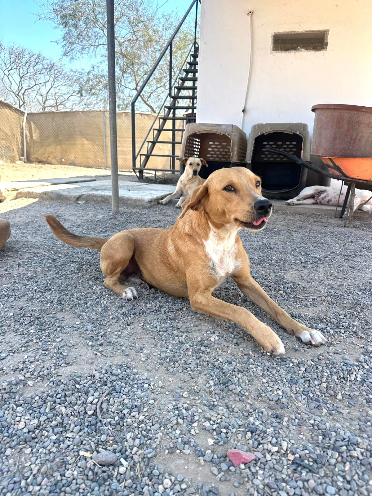 WhatsApp Image 2026-03-18 at 5.26.18 PM.jpeg