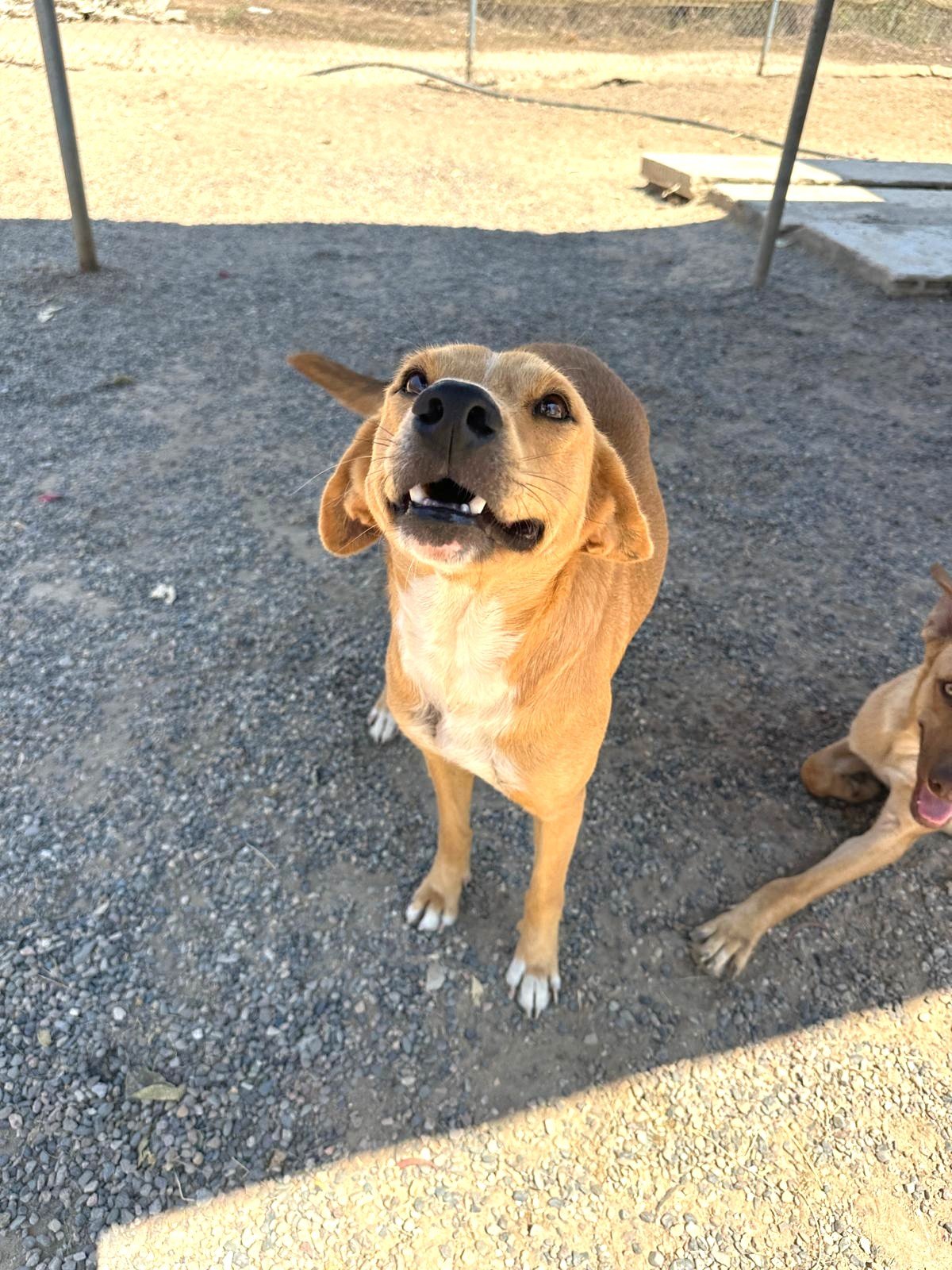 WhatsApp Image 2026-03-18 at 5.26.18 PM (1).jpeg