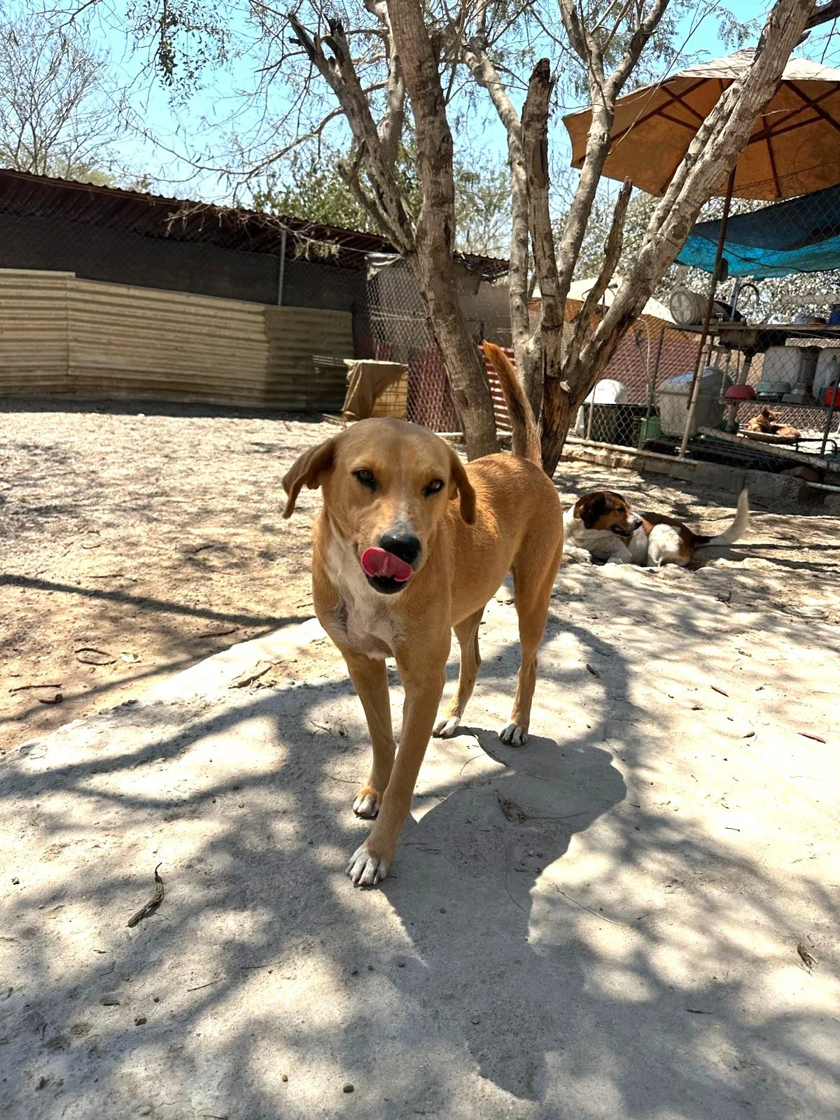 WhatsApp Image 2026-03-18 at 5.26.19 PM (1).jpeg