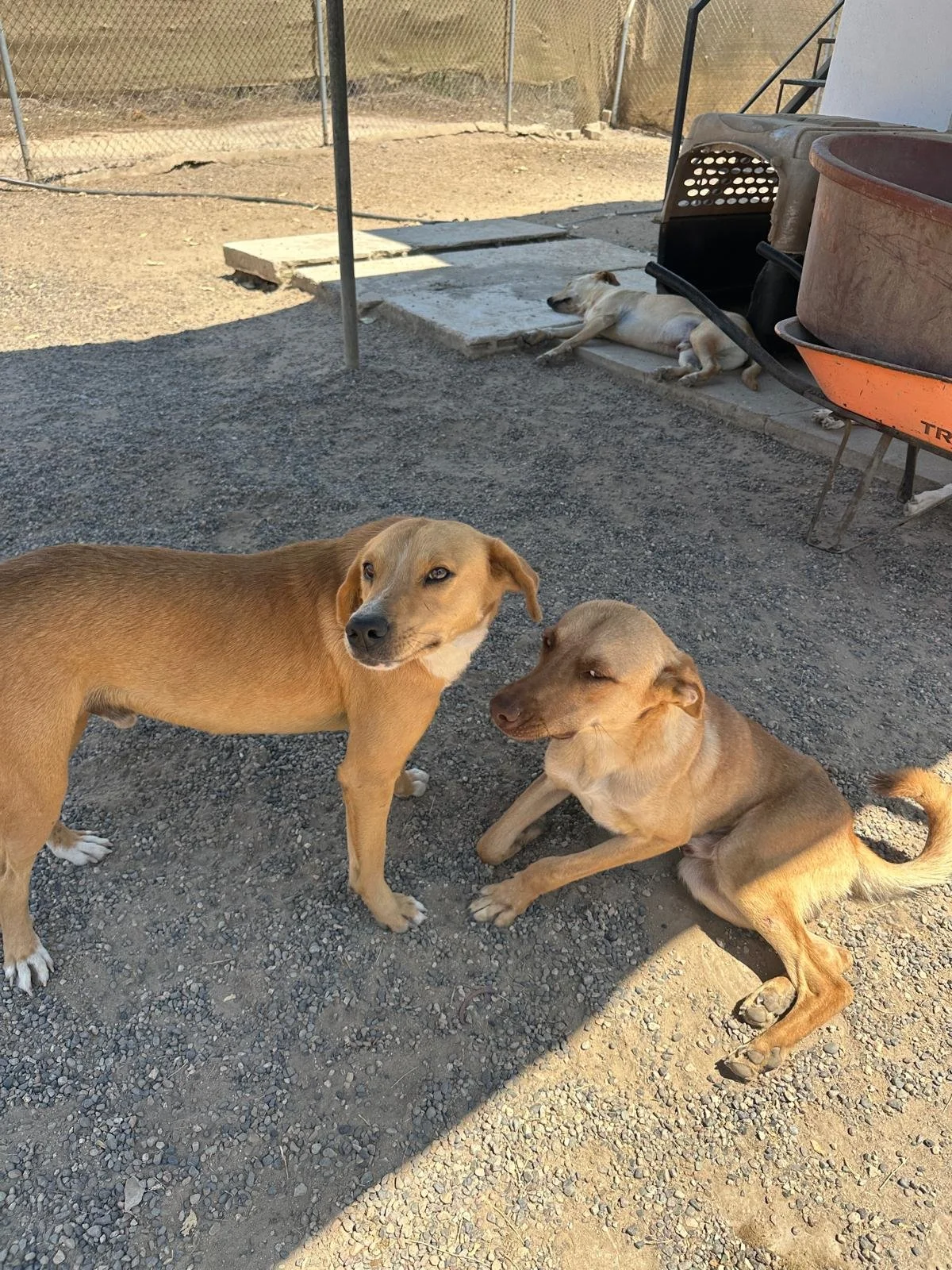 WhatsApp Image 2026-03-18 at 5.26.39 PM (3).jpeg