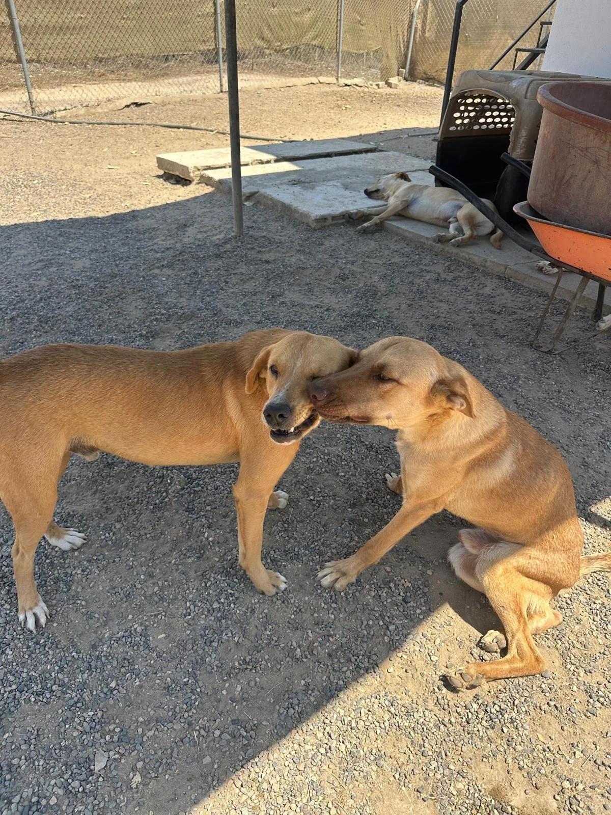 WhatsApp Image 2026-03-18 at 5.26.39 PM (2).jpeg