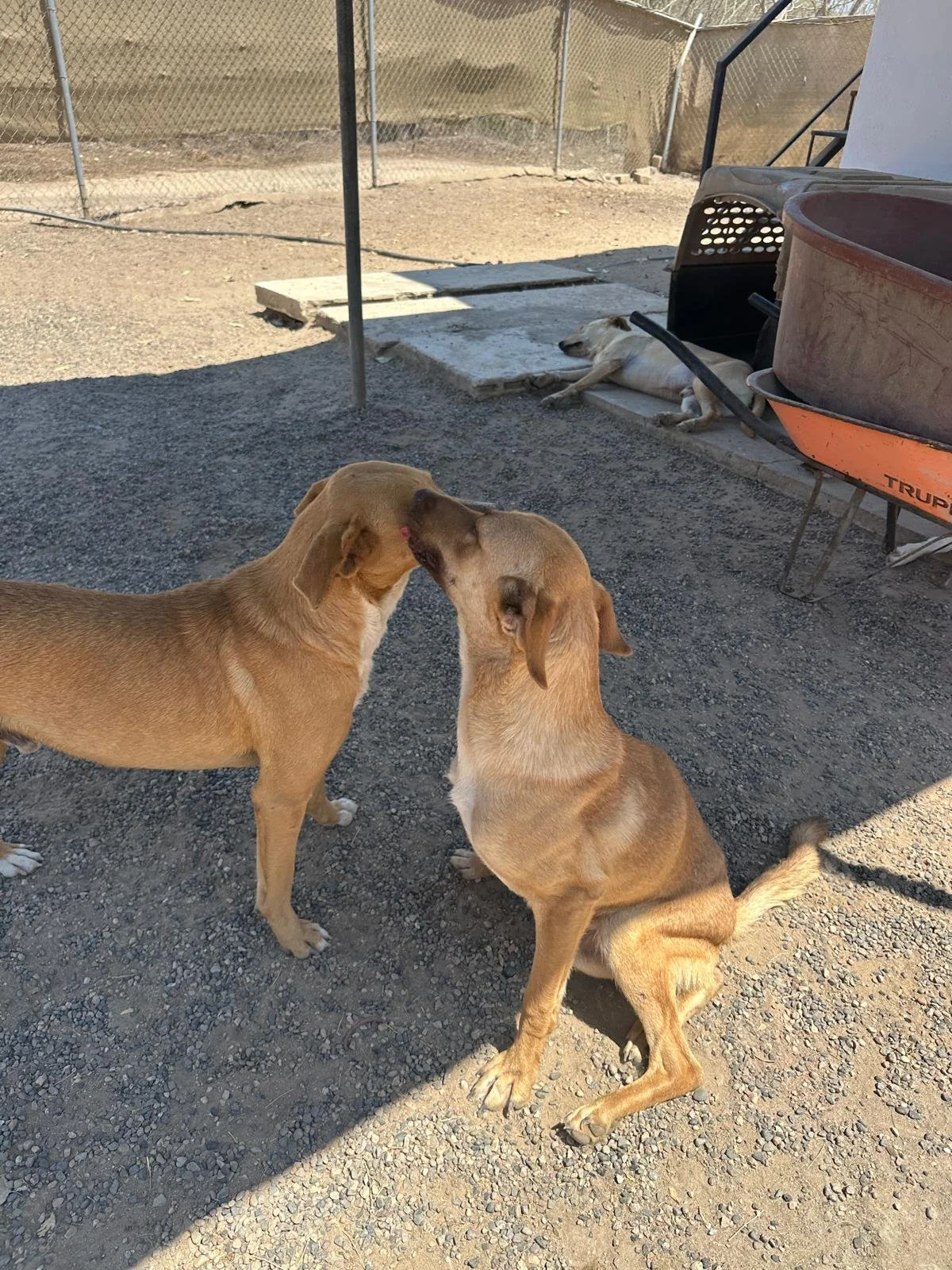 WhatsApp Image 2026-03-18 at 5.26.39 PM.jpeg