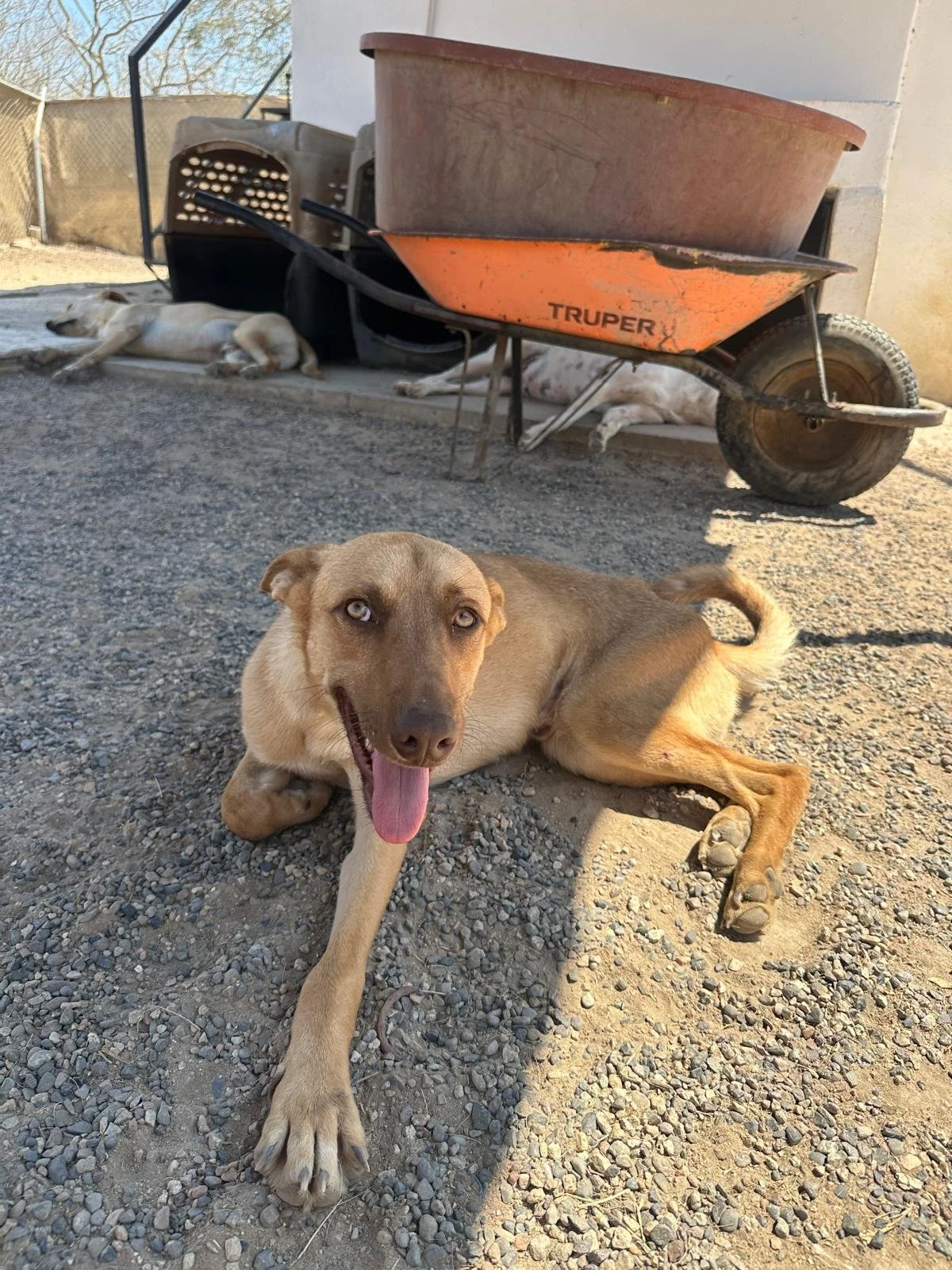 WhatsApp Image 2026-03-18 at 5.26.53 PM.jpeg