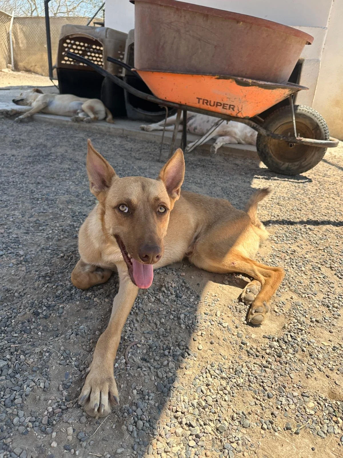 WhatsApp Image 2026-03-18 at 5.26.53 PM (1).jpeg