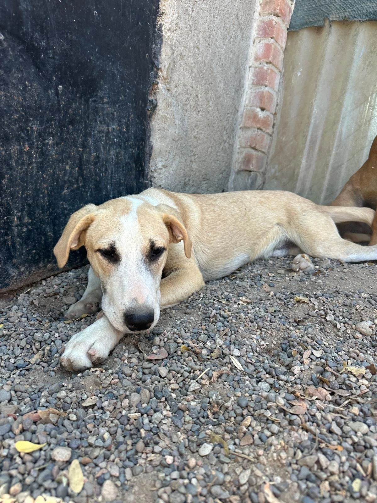 WhatsApp Image 2026-03-18 at 5.28.13 PM.jpeg