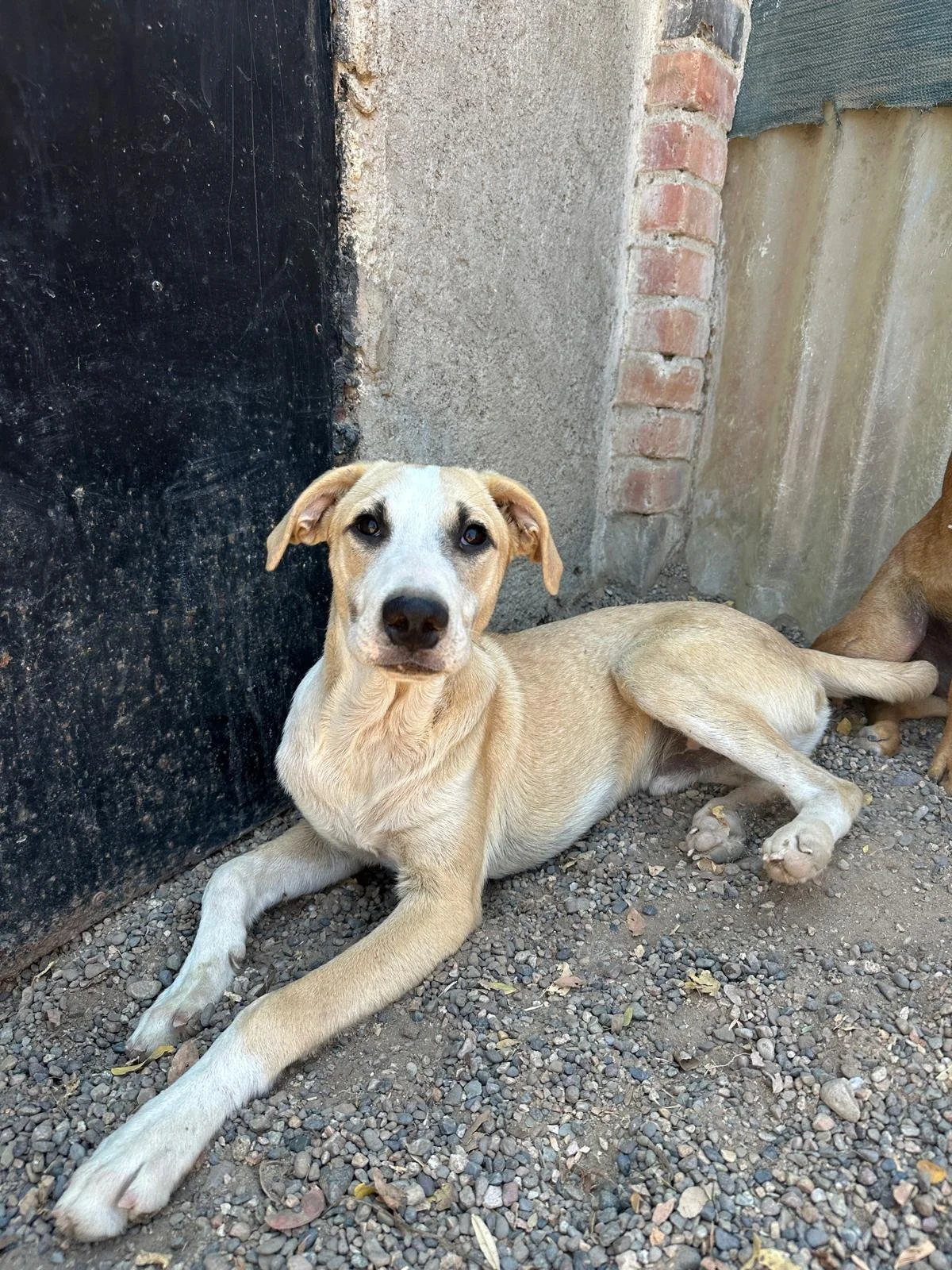 WhatsApp Image 2026-03-18 at 5.28.13 PM (1).jpeg