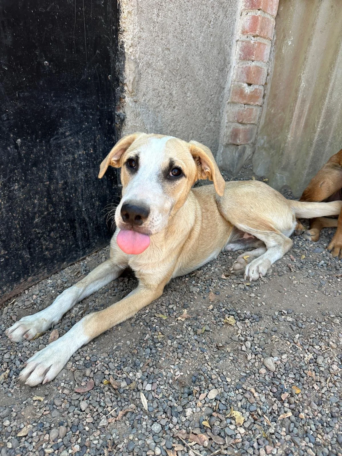 WhatsApp Image 2026-03-18 at 5.28.13 PM (3).jpeg