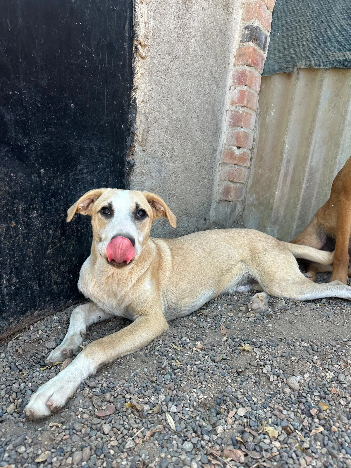 WhatsApp Image 2026-03-18 at 5.28.13 PM.jpeg