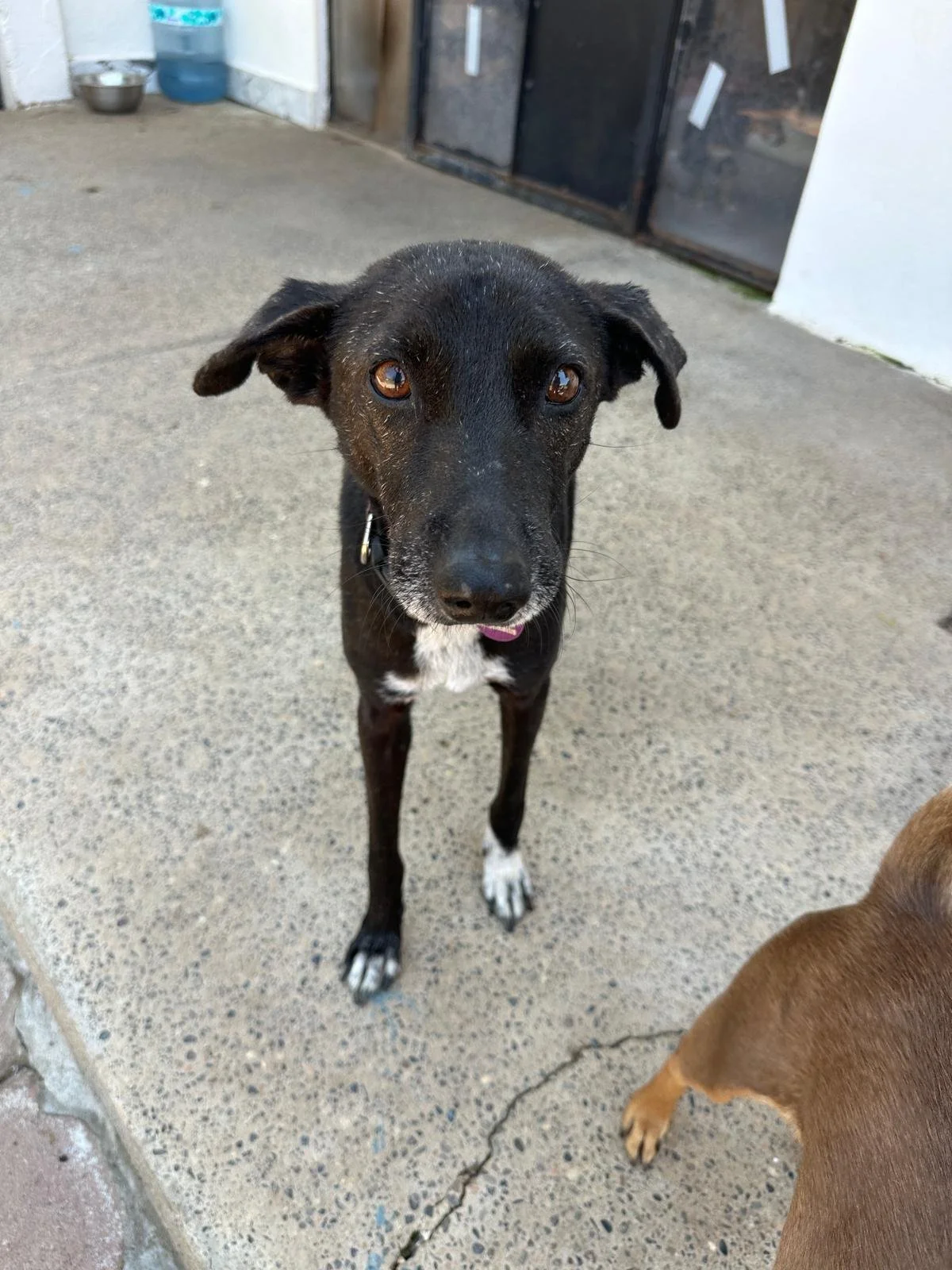 WhatsApp Image 2026-03-18 at 5.28.21 PM.jpeg