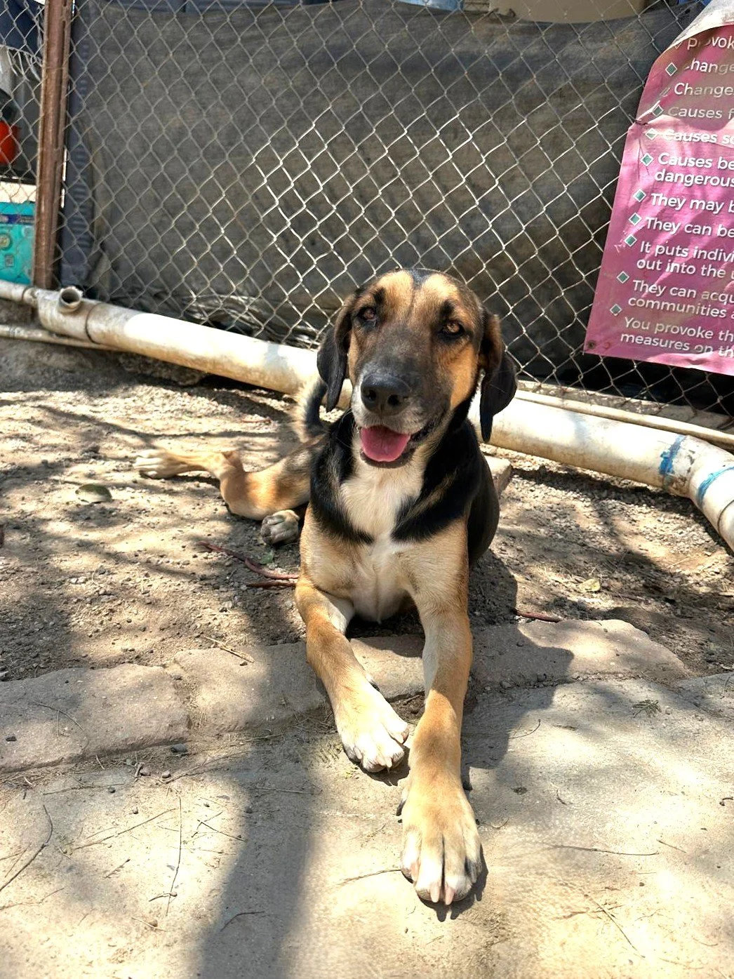 WhatsApp Image 2026-03-18 at 5.27.05 PM.jpeg