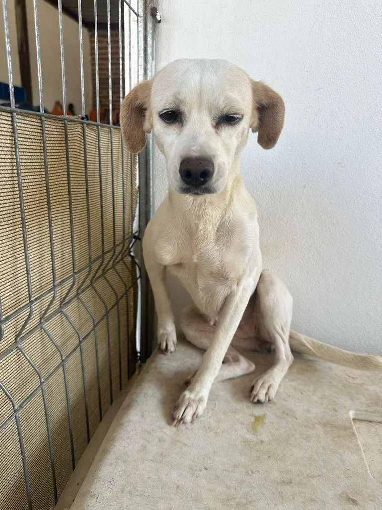 WhatsApp Image 2026-03-19 at 2.35.50 PM (2).jpeg