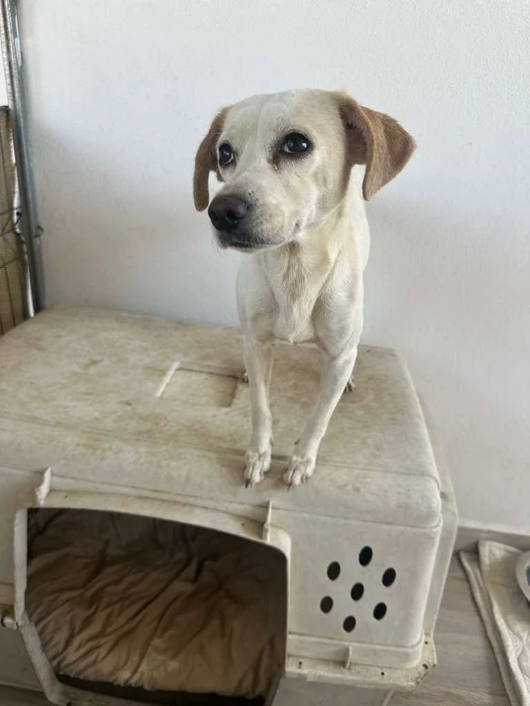 WhatsApp Image 2026-03-19 at 2.35.50 PM.jpeg