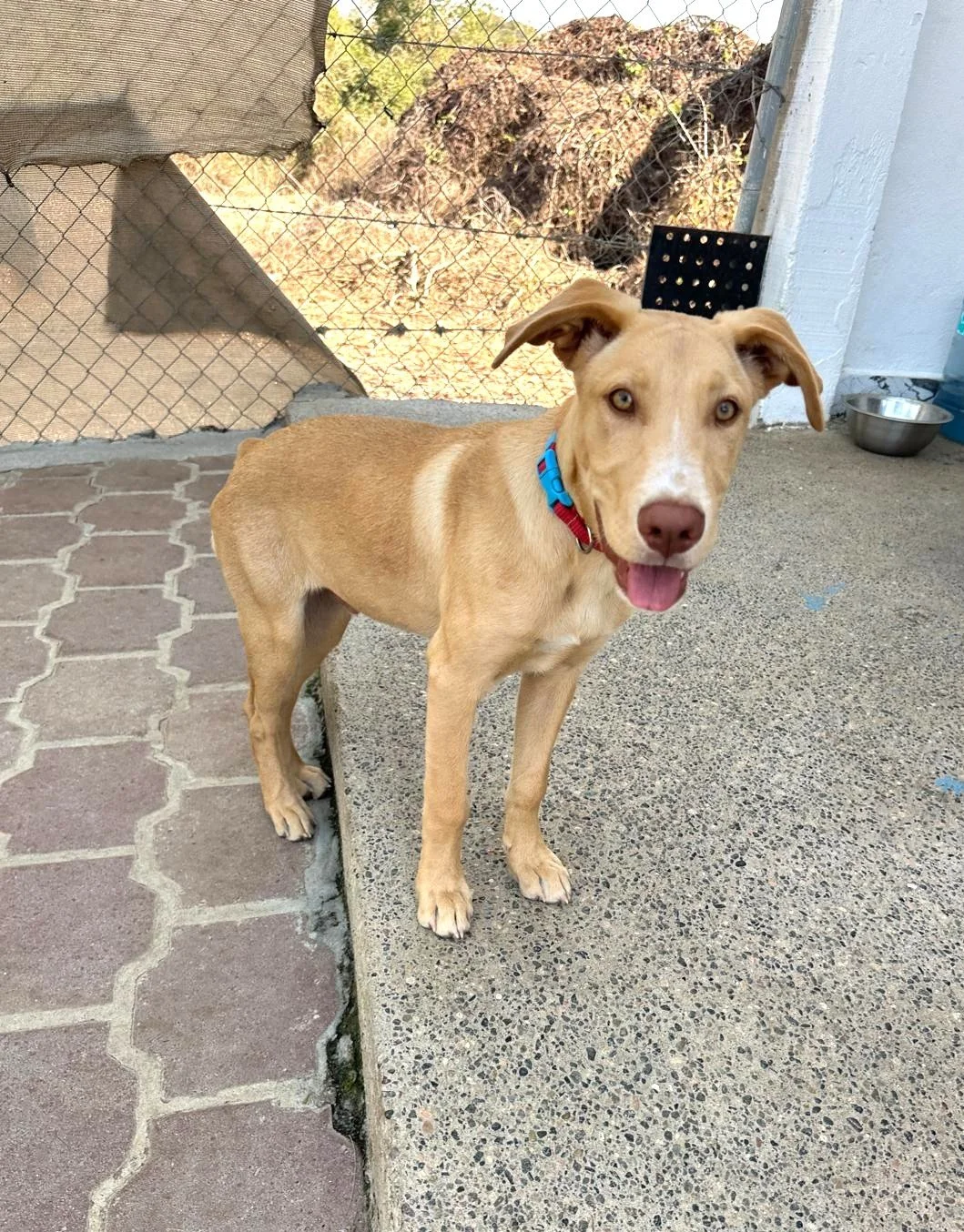 WhatsApp Image 2026-03-18 at 5.38.37 PM.jpeg