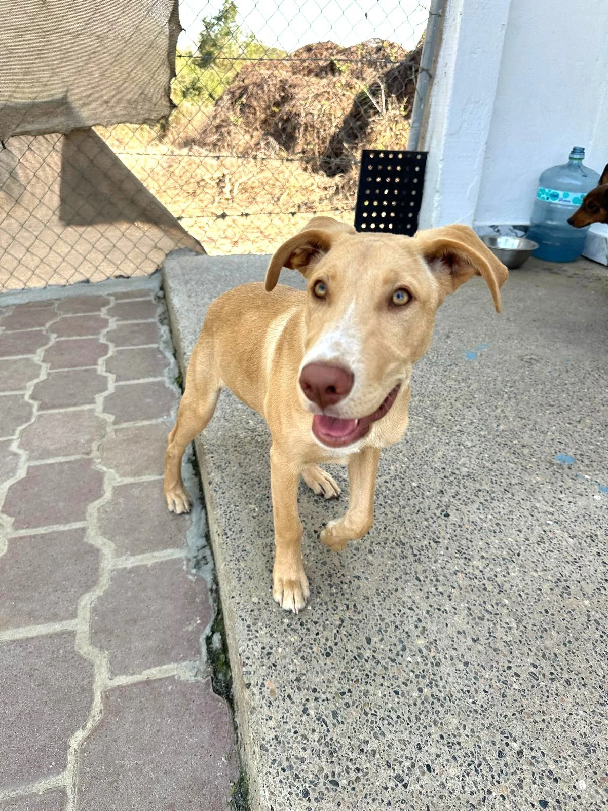 WhatsApp Image 2026-03-18 at 5.38.37 PM (1).jpeg