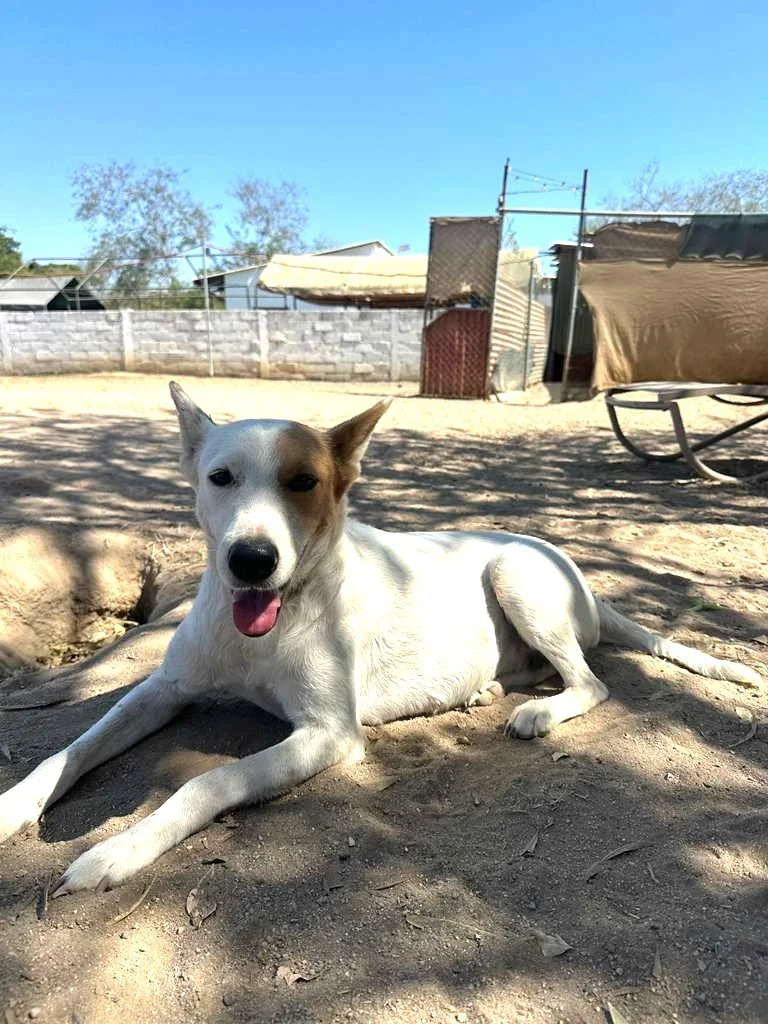 WhatsApp Image 2026-03-19 at 3.48.32 PM.jpeg