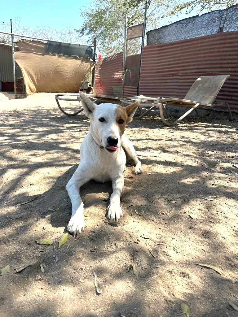 WhatsApp Image 2026-03-19 at 3.48.31 PM.jpeg