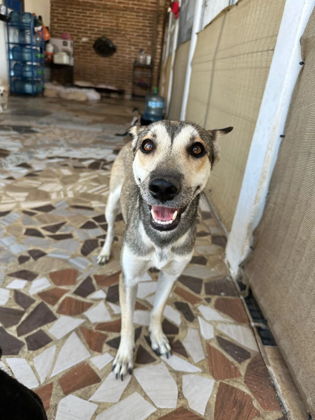 WhatsApp Image 2026-03-18 at 5.51.32 PM.jpeg