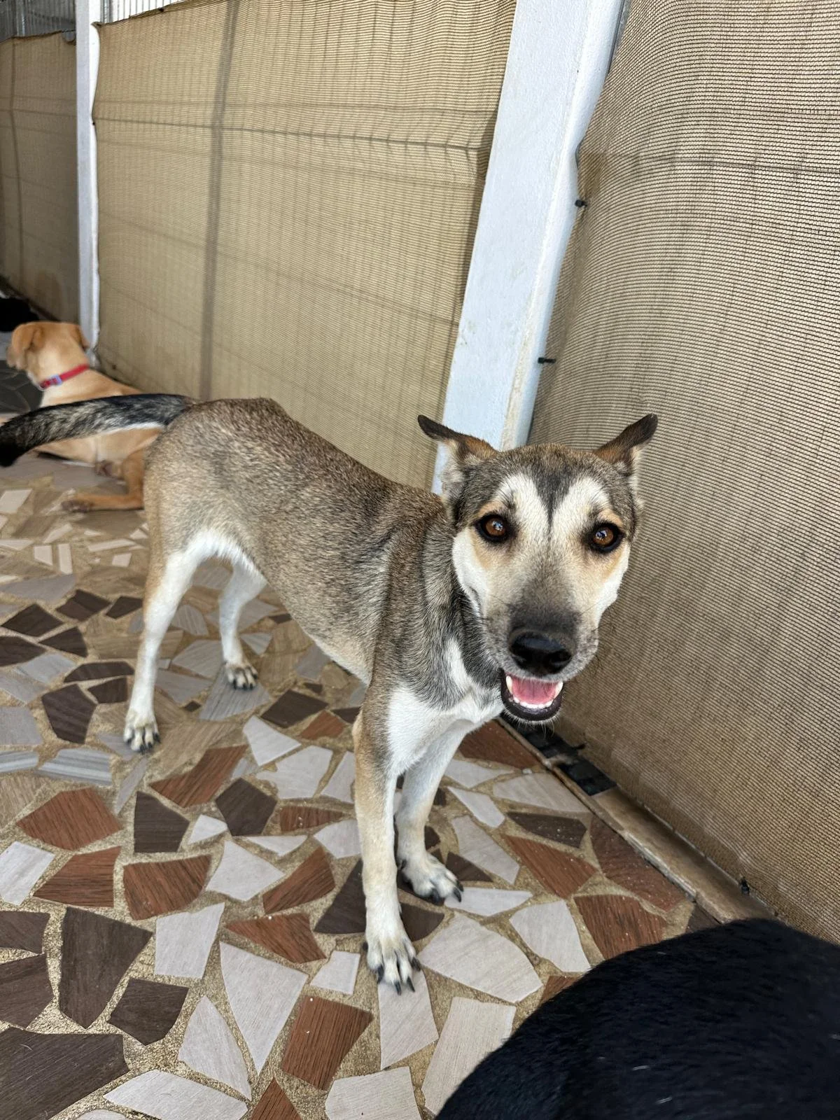 WhatsApp Image 2026-03-18 at 5.51.03 PM.jpeg