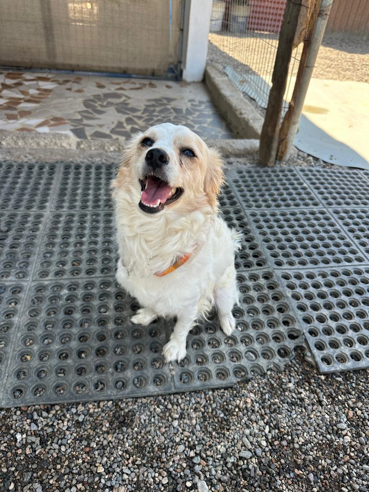 WhatsApp Image 2026-03-18 at 5.52.30 PM (1).jpeg