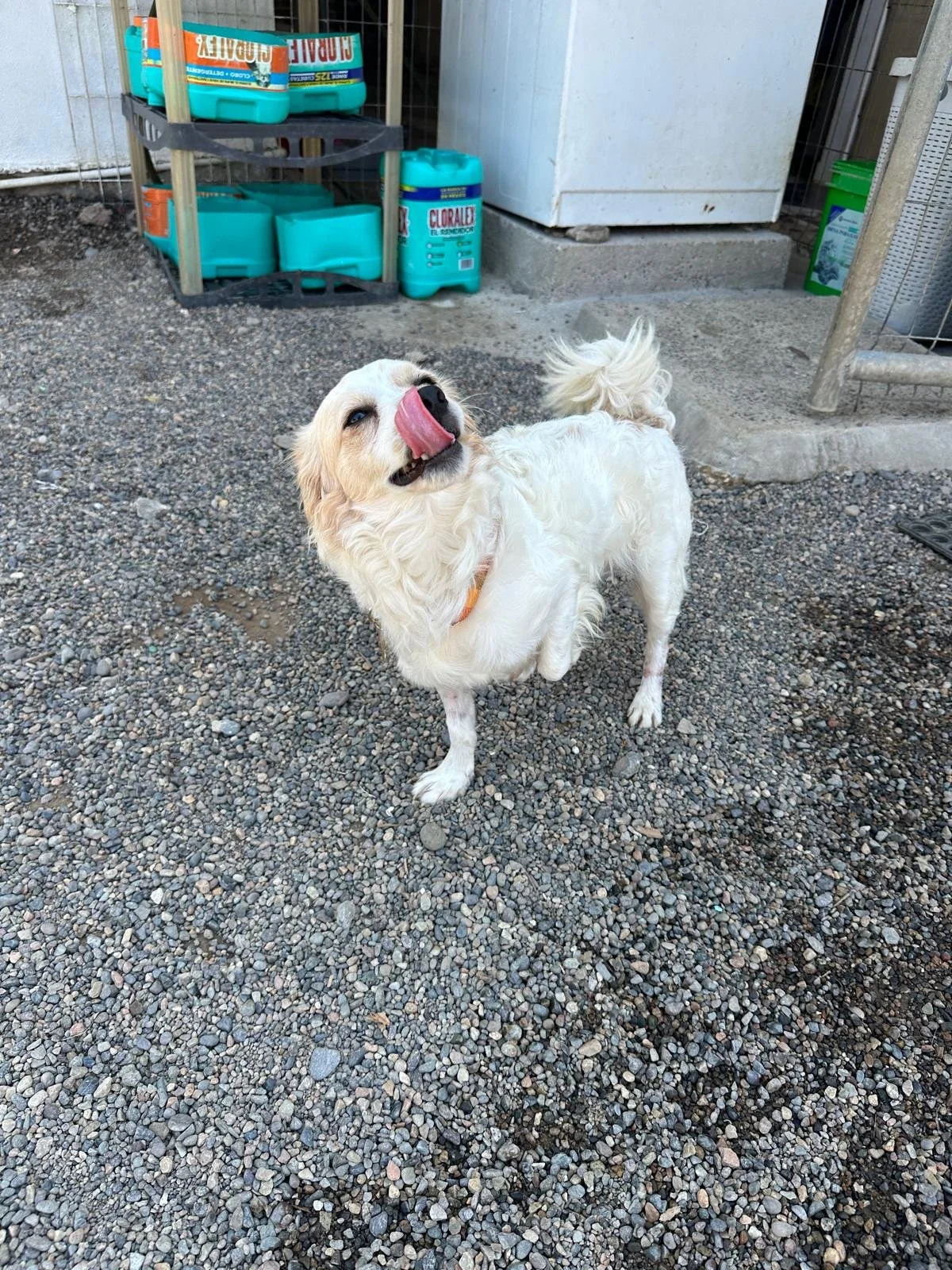 WhatsApp Image 2026-03-18 at 5.52.29 PM.jpeg