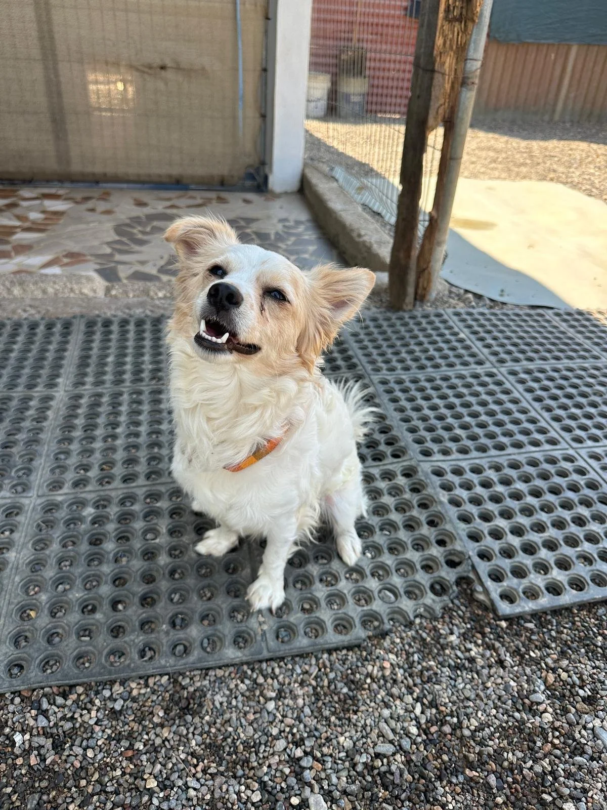 WhatsApp Image 2026-03-18 at 5.52.30 PM (2).jpeg