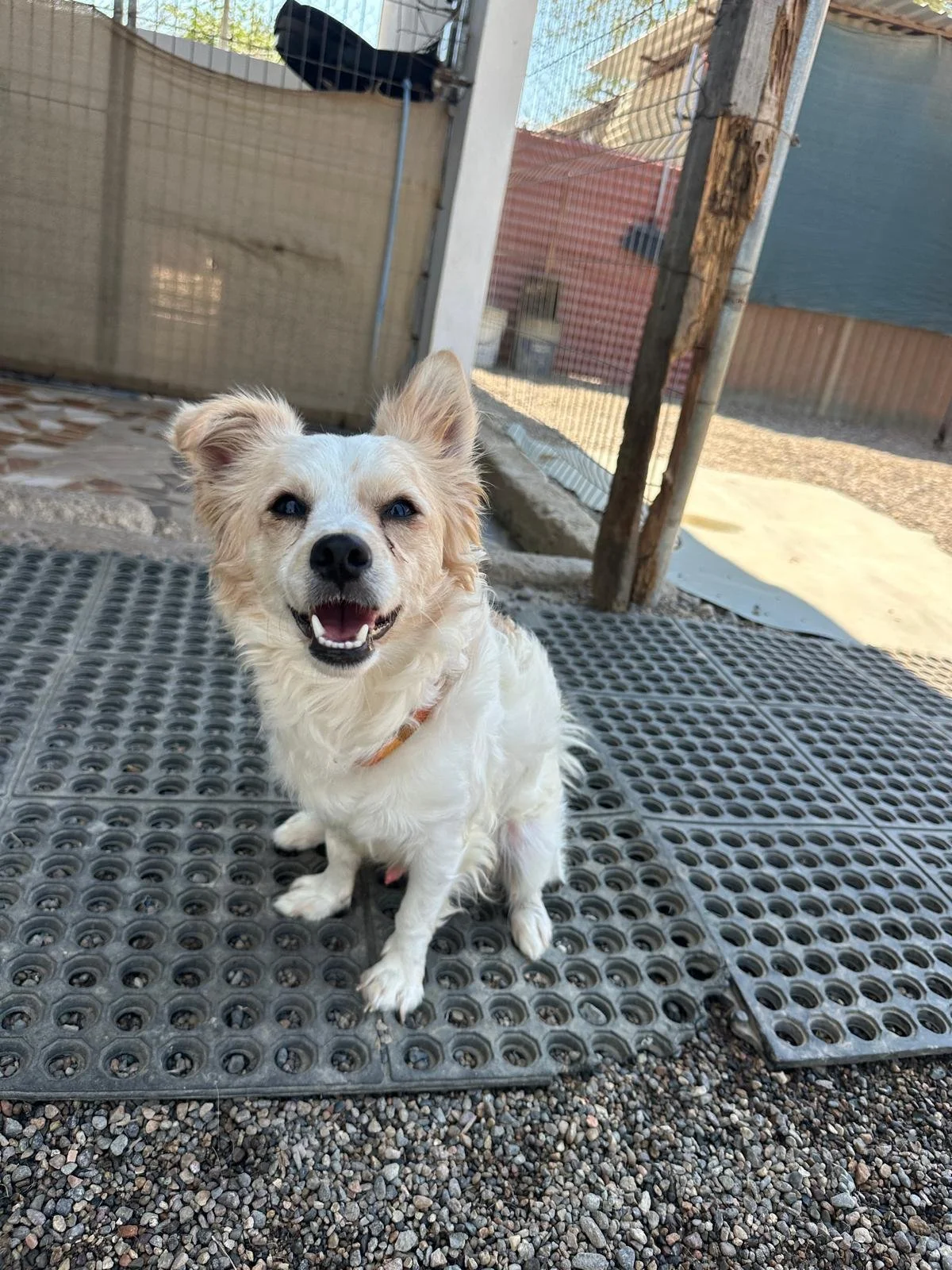 WhatsApp Image 2026-03-18 at 5.52.31 PM (1).jpeg