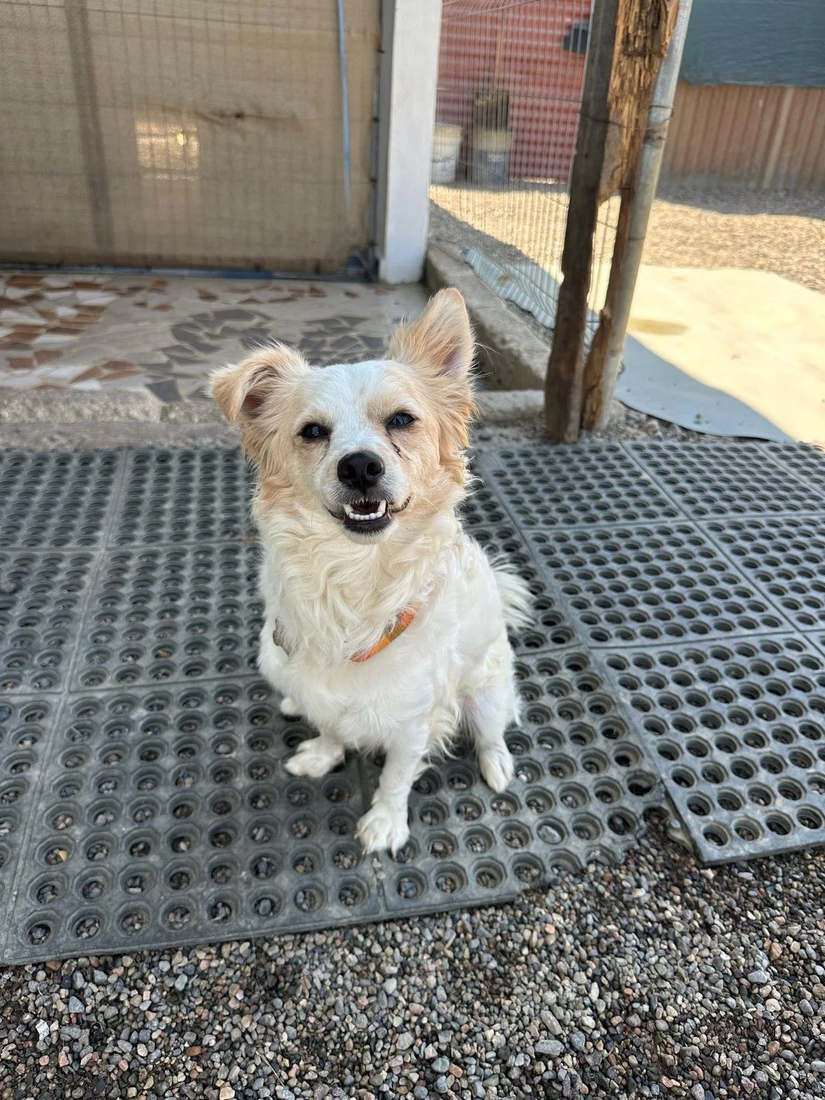 WhatsApp Image 2026-03-18 at 5.52.31 PM.jpeg