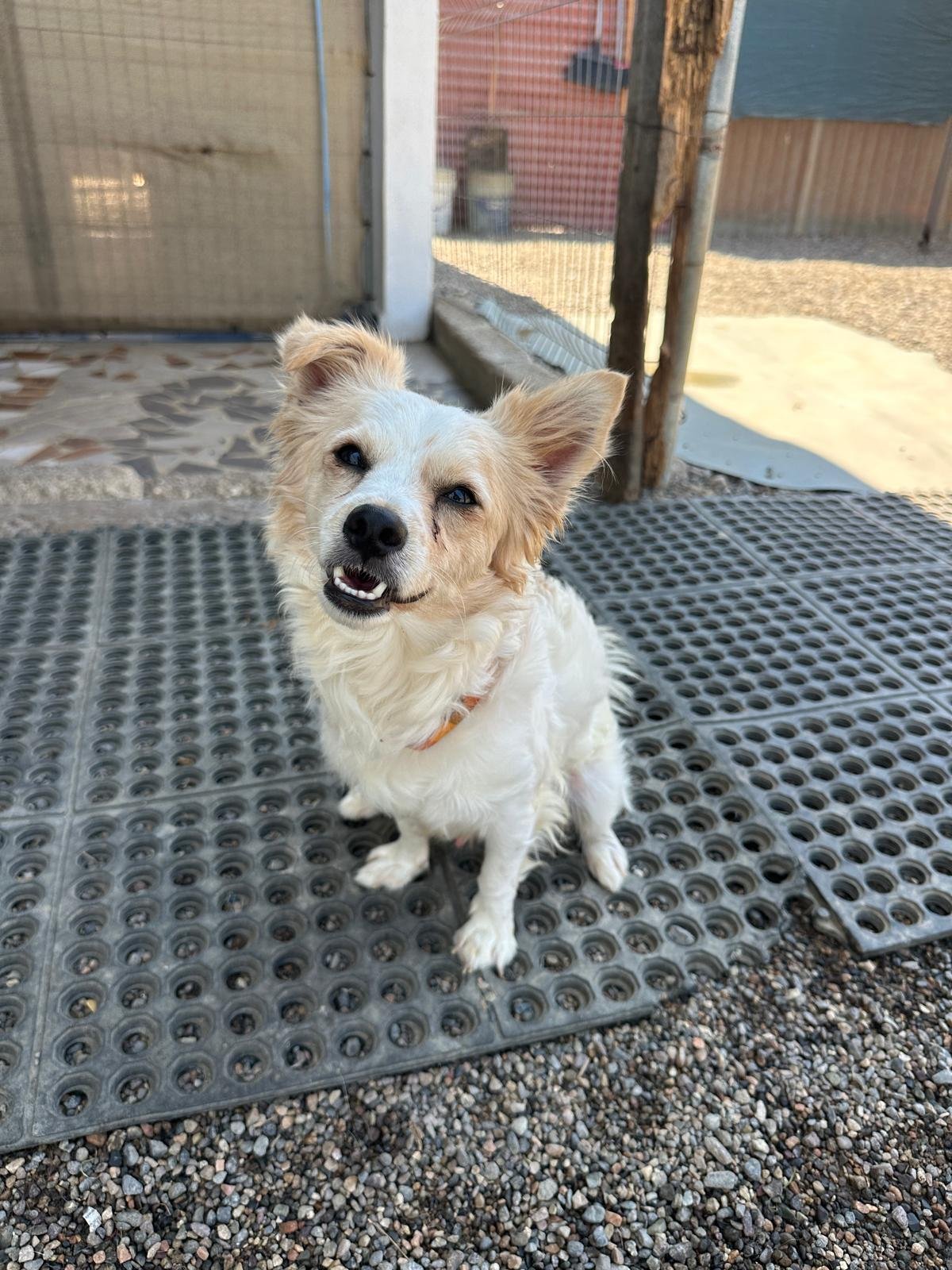 WhatsApp Image 2026-03-18 at 5.52.32 PM (1).jpeg