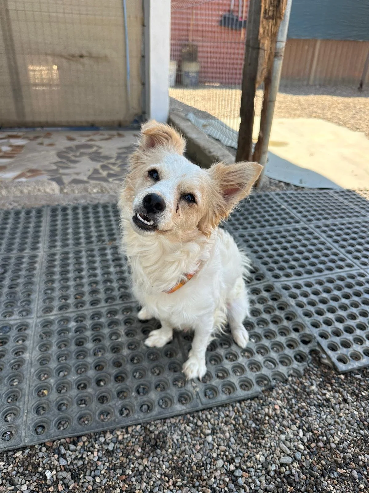 WhatsApp Image 2026-03-18 at 5.52.32 PM (2).jpeg