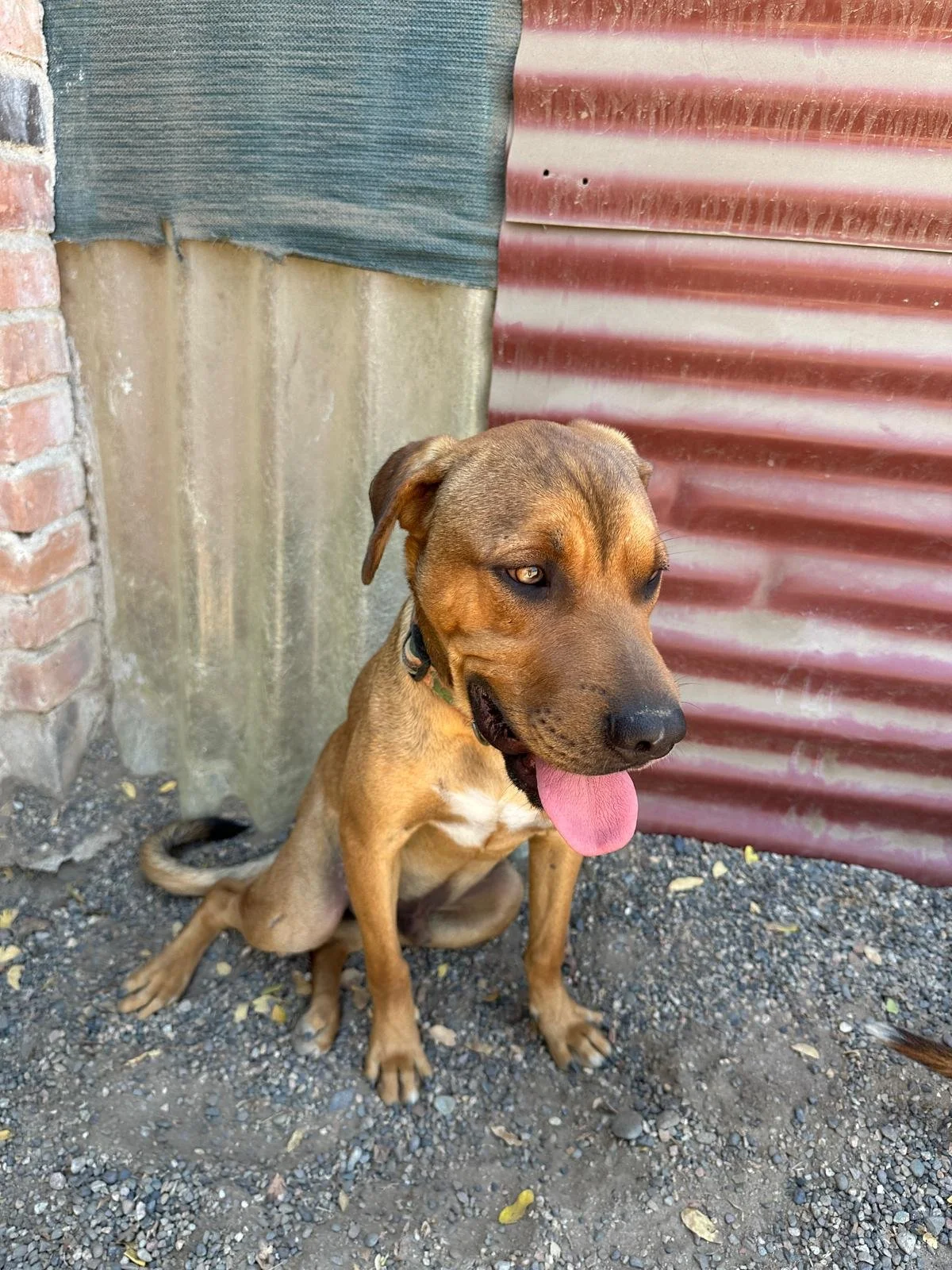 WhatsApp Image 2026-03-18 at 5.55.05 PM.jpeg