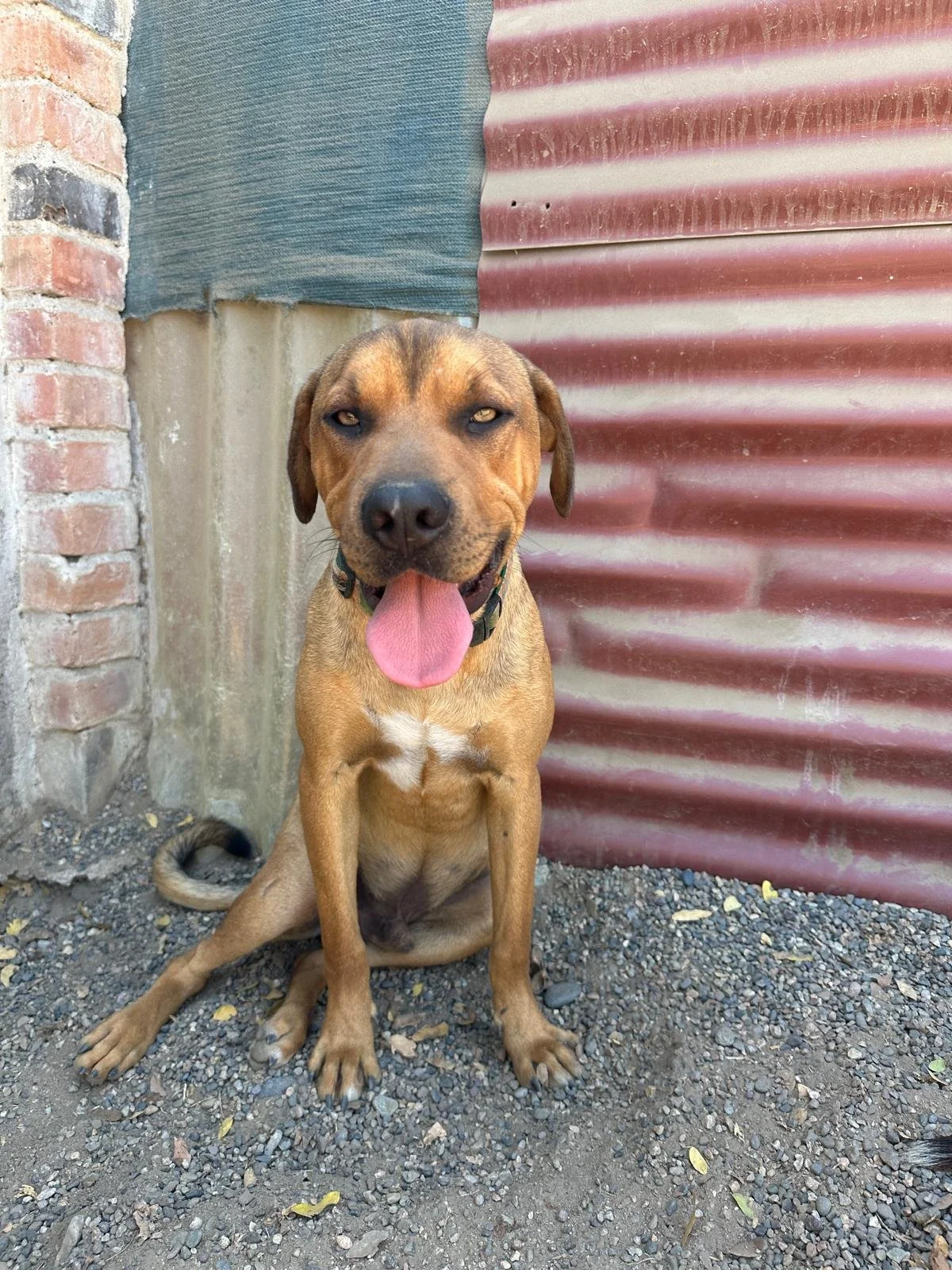 WhatsApp Image 2026-03-18 at 5.55.29 PM.jpeg