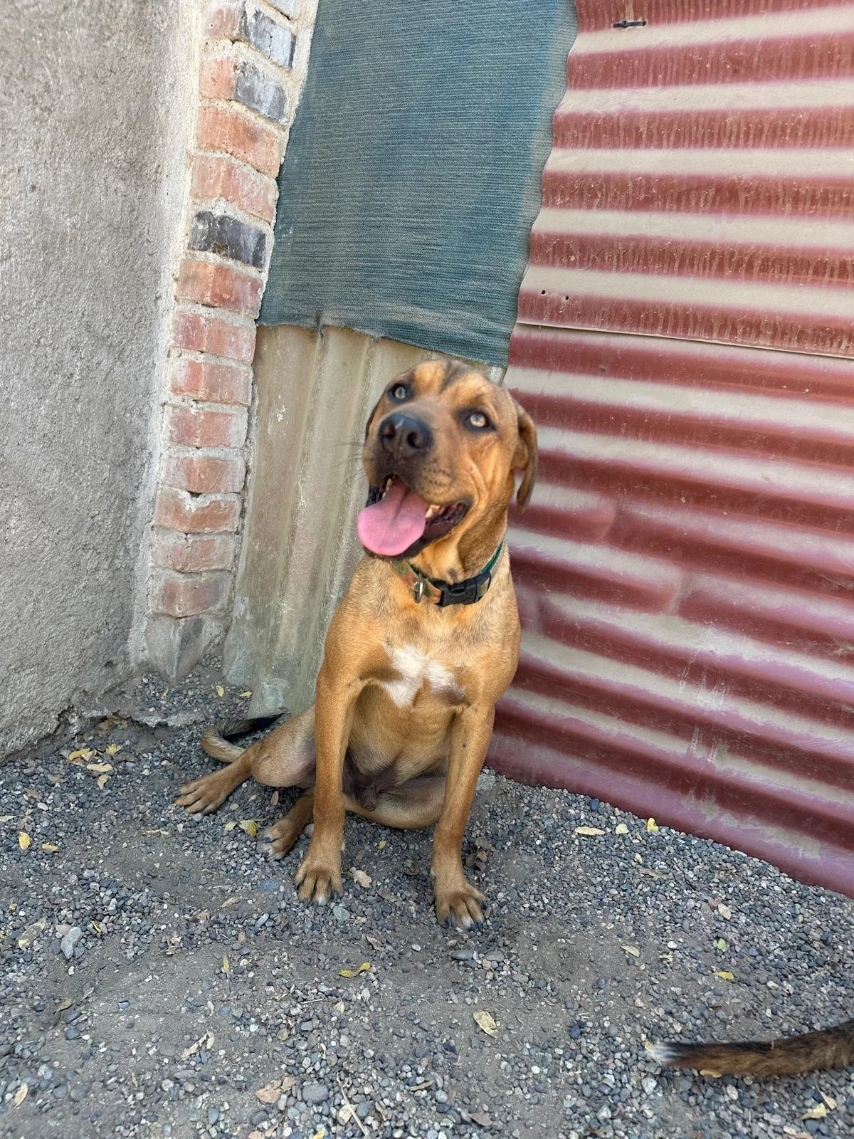 WhatsApp Image 2026-03-18 at 5.54.25 PM.jpeg