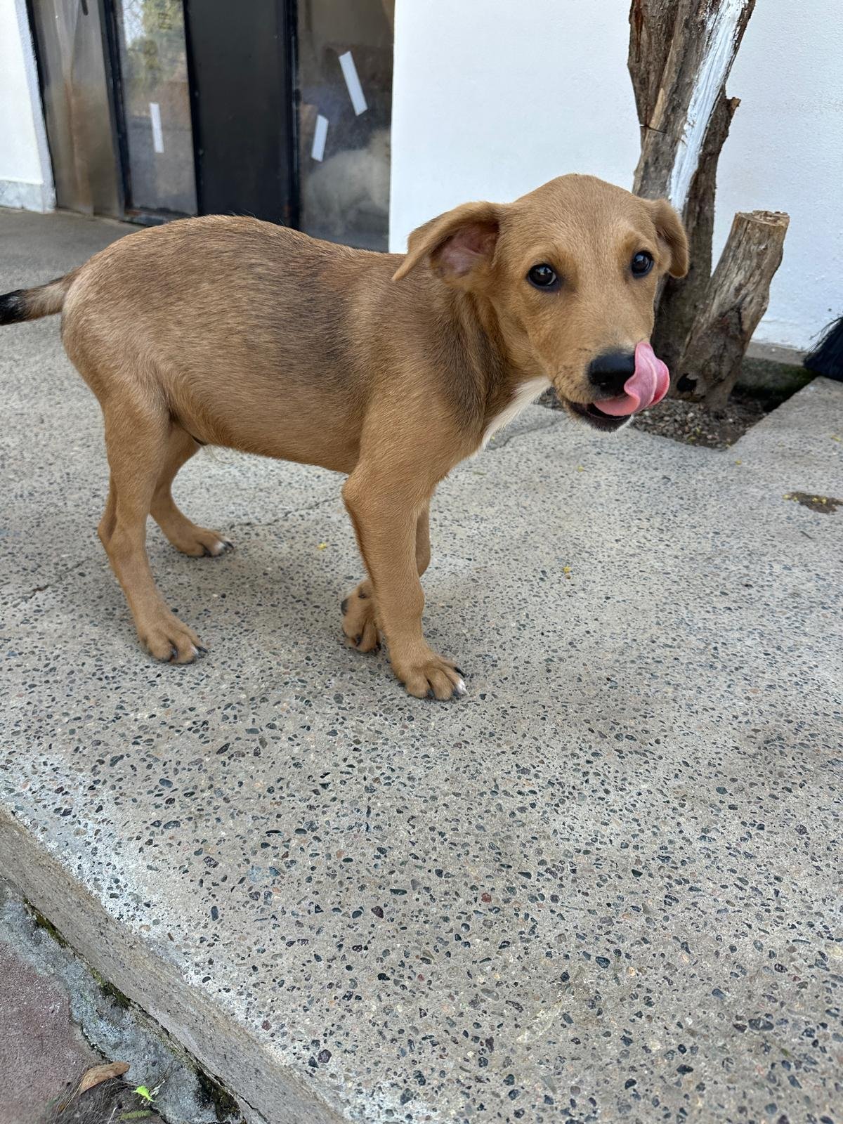 WhatsApp Image 2026-03-18 at 5.39.39 PM (2).jpeg