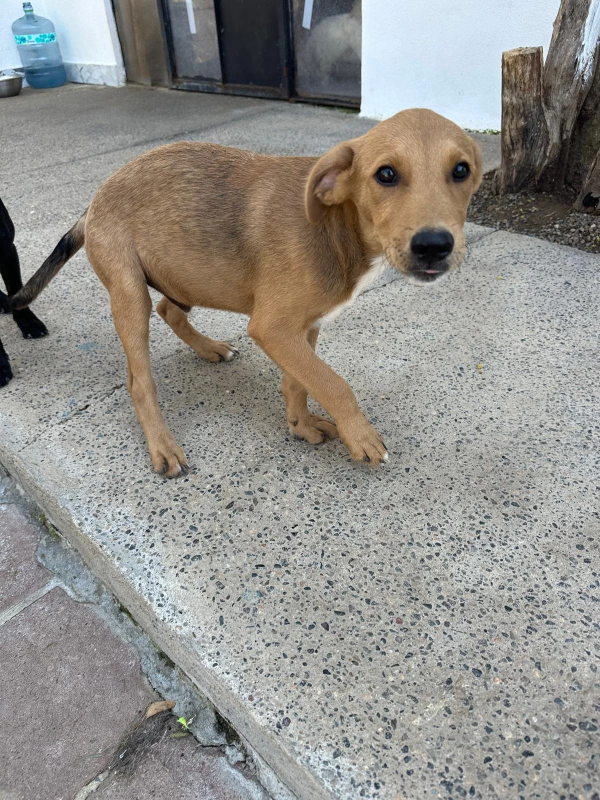 WhatsApp Image 2026-03-18 at 5.39.39 PM (1).jpeg