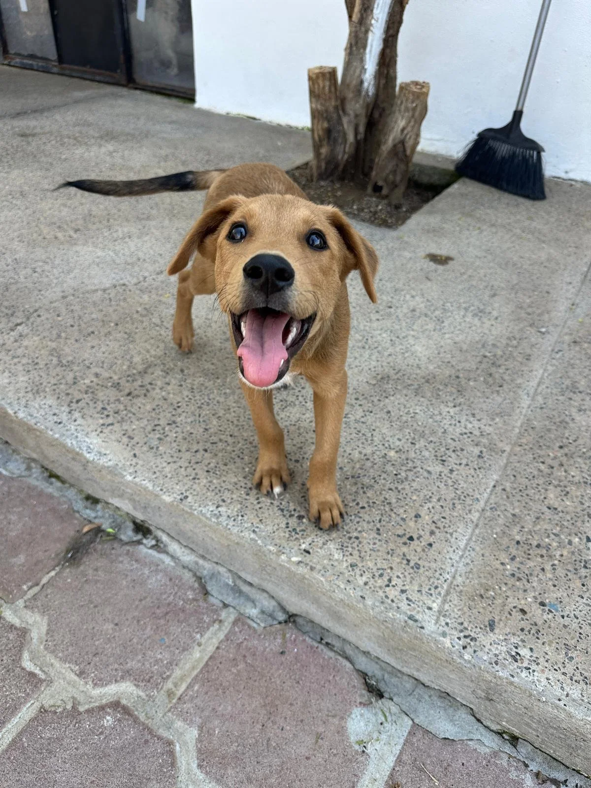 WhatsApp Image 2026-03-18 at 5.39.39 PM (4).jpeg